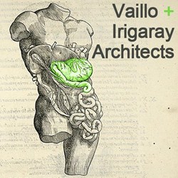 Vaillo + Irigaray Architects